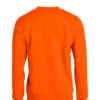 021030-170_BasicRoundneck_Back