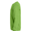 Basic Roundneck