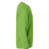 021030-67_BasicRoundneck_Right