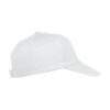 024065_00_TexasBullCap_R